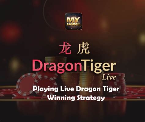 dragon tiger game strategy|Mastering Dragon Tiger: A Detailed Strategy Guide.